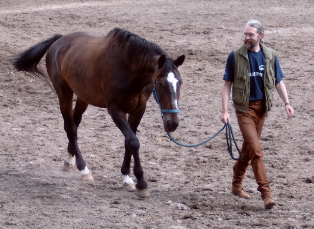 cowboy